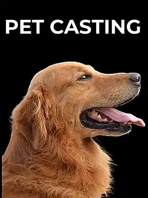 Pet Casting