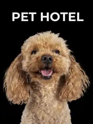 Pet Hotel