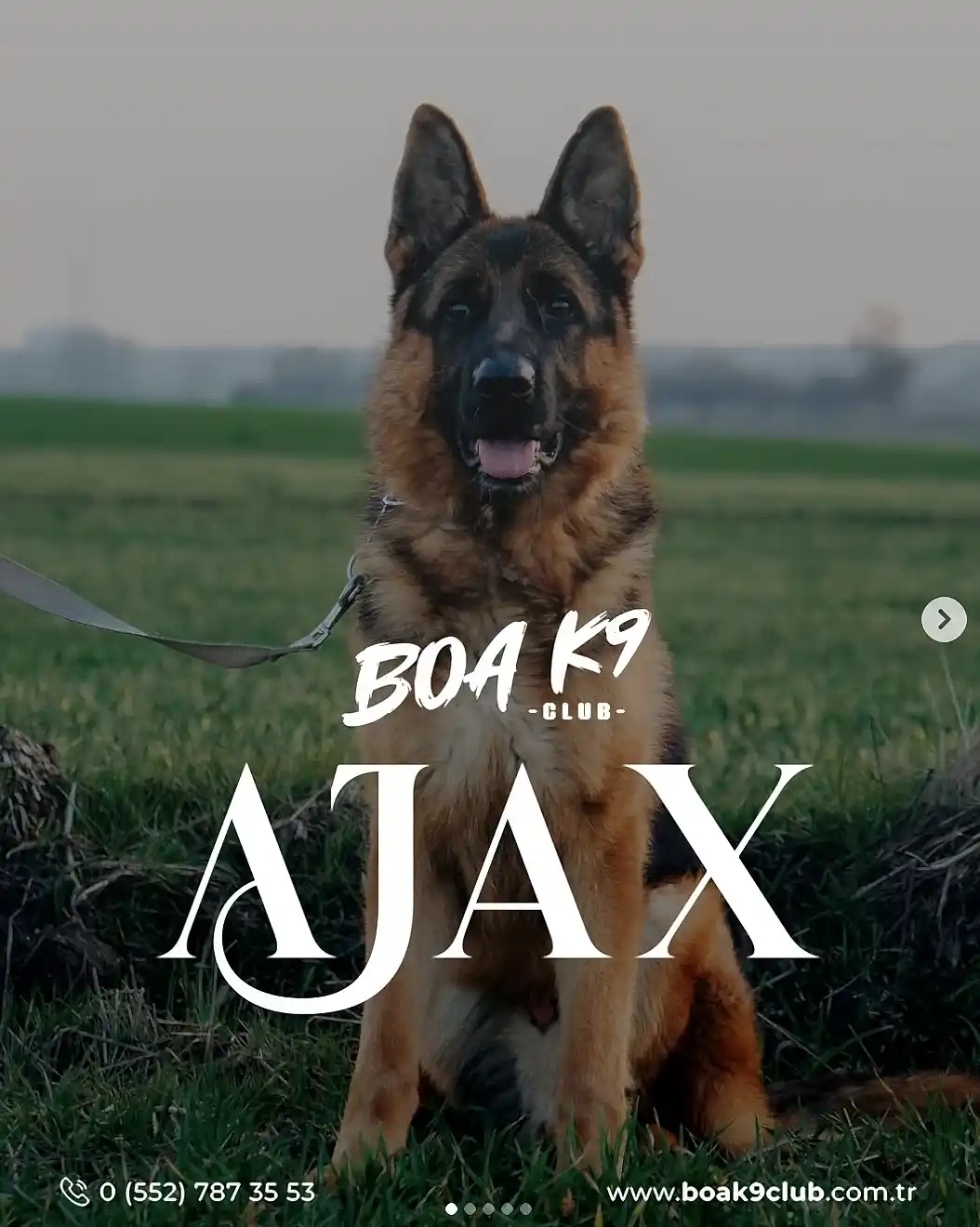 Ajax